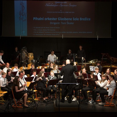 Pihalni orkester Glasbene šole Brežice
