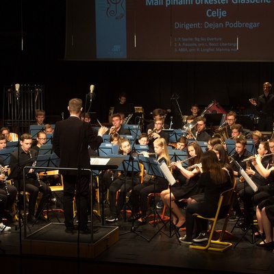 Pihalni orkester Glasbene šole Celje