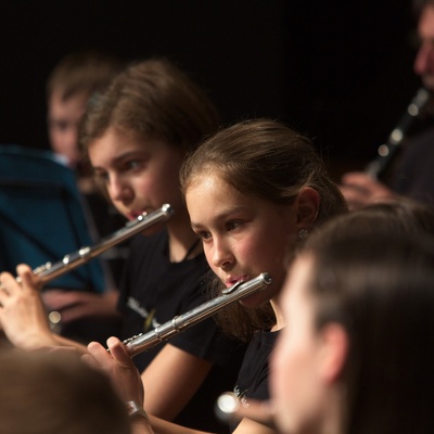 Pihalni orkester Glasbene šole Kamnik